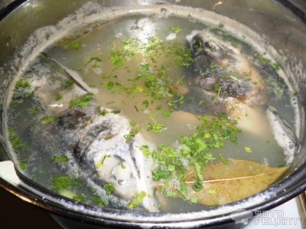 Рецепт: Рыбный суп из горбуши с манной крупой - из голов и хвостов