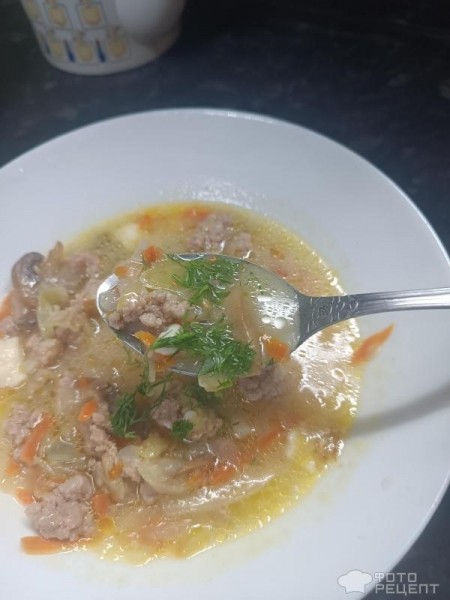 Рецепт: Суп с капустой и фаршем - Рецепт от доктора Филипа Кузьменко