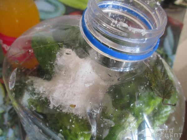 Рецепт: Квашеные огурцы "Простейшие" - в пластиковой бутыли