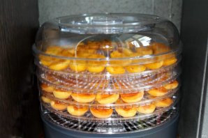 Вяленые абрикосы в домашних условиях на зиму