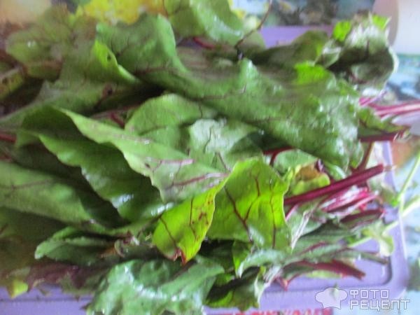 Рецепт: Зеленая паста из разной ботвы - с листьями хрена, ботвой моркови и свеклы