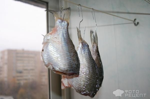 Рецепт: Рыба речная вяленая - в условиях городской квартиры