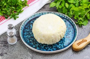 Адыгейский сыр из козьего молока в домашних условиях рецепт